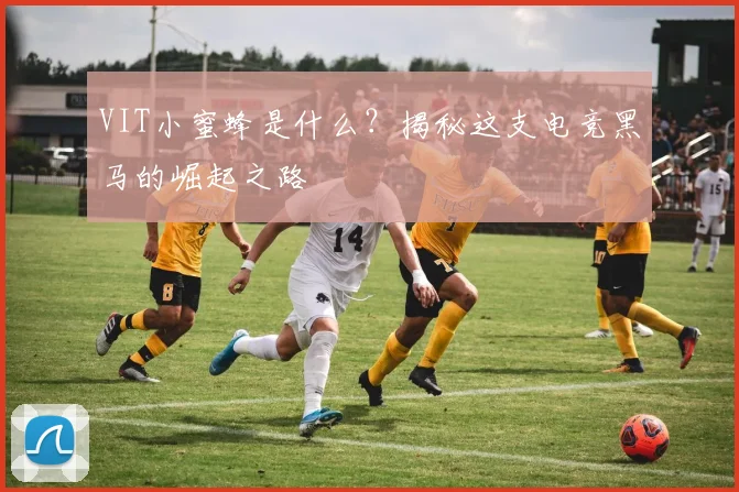 VIT小蜜蜂是什么？揭秘这支电竞黑马的崛起之路