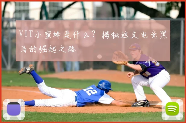 VIT小蜜蜂是什么？揭秘这支电竞黑马的崛起之路
